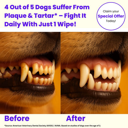 Dog Dental Wipes